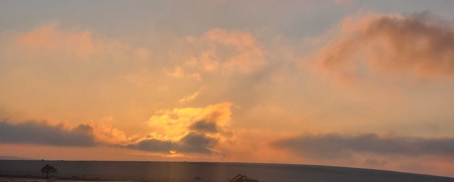 0 Bedroom Property for Sale in Darling Western Cape